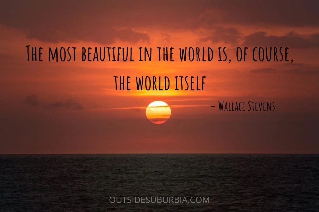 Famous Travel Quotes