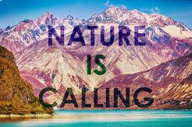 Nature travelling Quotes