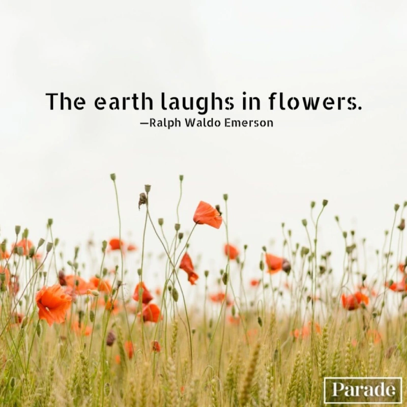 Nature travelling Quotes