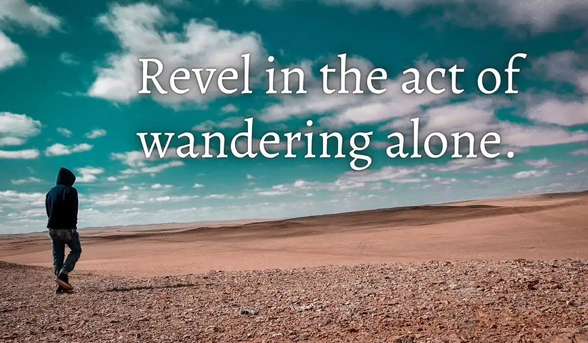 Solo Travelling Quotes